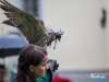 1449img_5838