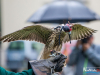 1456img_5848