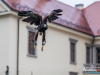 1502img_5858