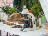 1512img_5866