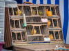 1513img_4350