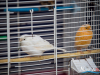 1513img_4351