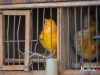 1513img_4353