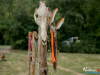1704_img_6696_wynik