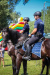 0756462-268293_wynik