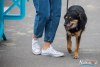 1321IMG_9780