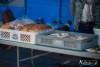 IMG_68241034_wynik