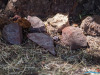 1311img_5637_wynik