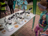 1849img_5676_05_25_2017