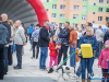 piknik0041