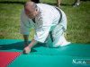 1352img_2591_05_29_2016