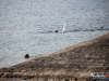 1032img_9756
