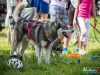 1135img_4454