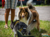 1137img_4460