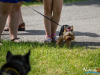 1137img_4461