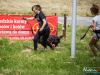 1137img_4464