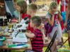 1139img_4470