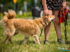 1140img_4481