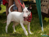1140img_4484