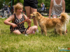 1141img_4493