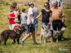 1141img_4498