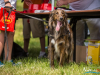1143img_4516