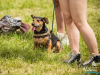 1144img_4518