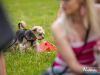 1149img_4536