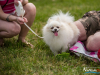 1149img_4537