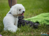 1149img_4539