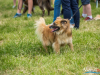 1150img_4541