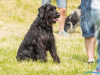 1151img_4549