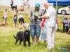 1152img_4550