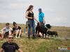 1153img_4555