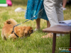 1155img_4560