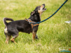 1156img_4562