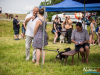 1156img_4564