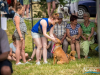 1156img_4565
