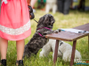 1157img_4567
