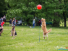 1159img_4577