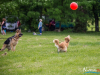 1159img_4578