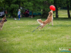1159img_4579