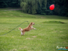 1159img_4581