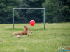 1159img_4582