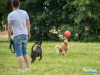 1159img_4587