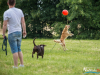 1159img_4588
