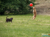 1159img_4592