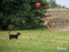 1159img_4593