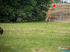 1159img_4595