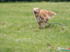 1200img_4607